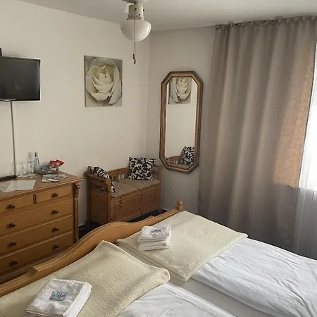 酒店 家阁豪弗酒店 3*